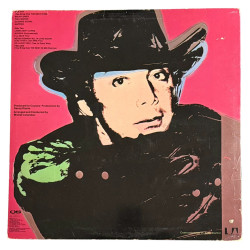 Paul Anka The Painter LP 1976 – Vinile originale con copertina Andy Warhol