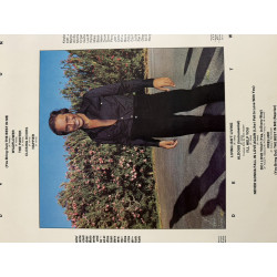 Paul Anka The Painter LP 1976 – Vinile originale con copertina Andy Warhol