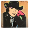 Paul Anka The Painter LP 1976 – Vinile originale con copertina Andy Warhol