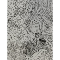 Arturo Carmassi Acquaforte Firmata e Numerata 50×70