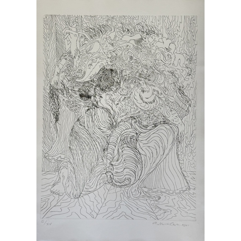 Arturo Carmassi Acquaforte Firmata e Numerata 50×70