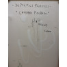 Salvatore D’Imperio – Superfici Fragili “Caminho Fechado” (2004) | Opera Firmata 60×80