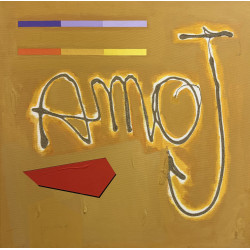 Salvatore D’Imperio – Amo | Tecnica mista su tela 60×60 cm (2009)