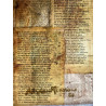 Narcisista – Opera d’Arte 67×47 cm | Firmata e Certificata