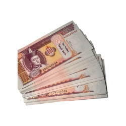 Lotto 99 Banconote Mongolia 20 Tögrög FDS (UNC) – Seriali Consecutivi – Emissione 2005