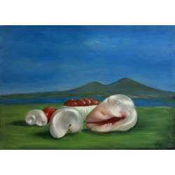 Mario Russo – Conchiglie e Pomodori (1994) 50x70 cm - Olio su tela, Firmato