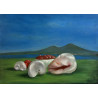 Mario Russo – Conchiglie e Pomodori (1994) 50x70 cm - Olio su tela, Firmato