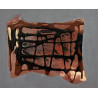 Salvatore D’Imperio – Tecnica Mista su Tavola 24x30 cm | Opera Firmata